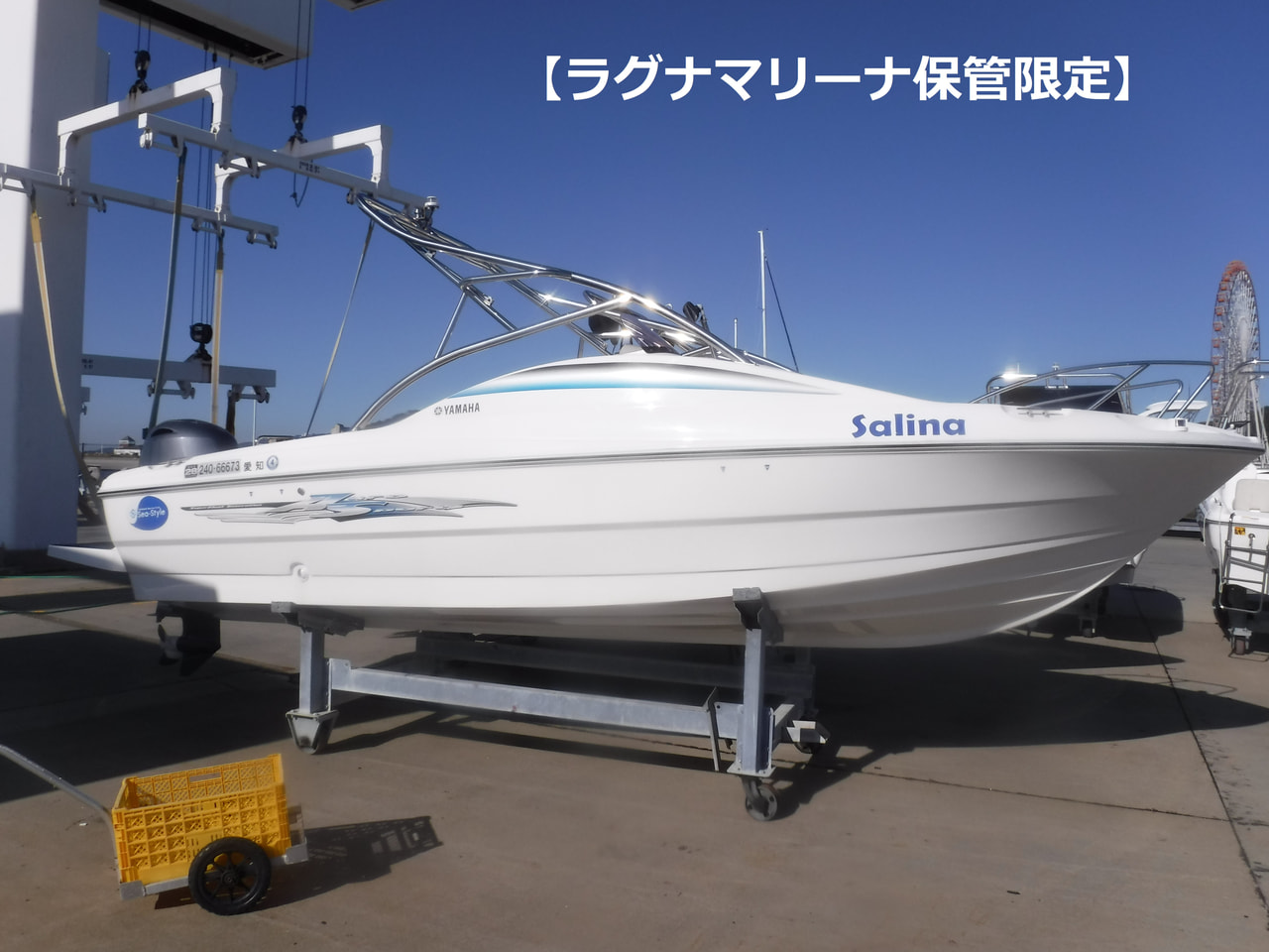 AS-21WB F115【ラグナマリーナ保管限定】画像