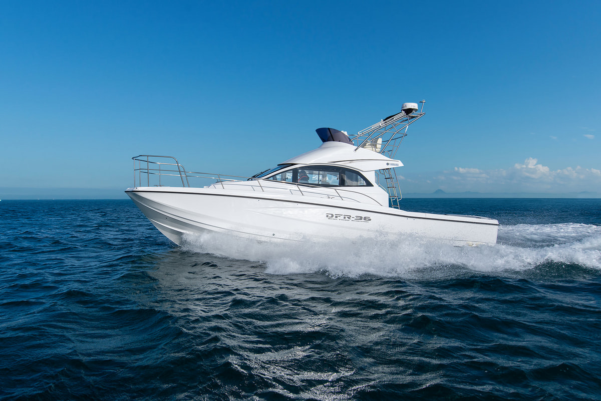 【2026年5月入荷予定】DFR-36FB　Cパッケージ 写真