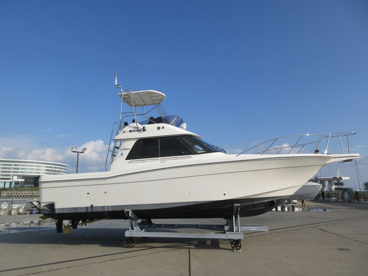 SF-31Ⅲ【ヤマハマリーナ沼津艇置契約パッケージ】 写真