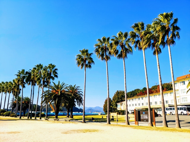 大久野島（うさぎ島） 写真