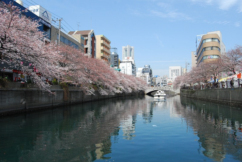 横浜・大岡川 写真