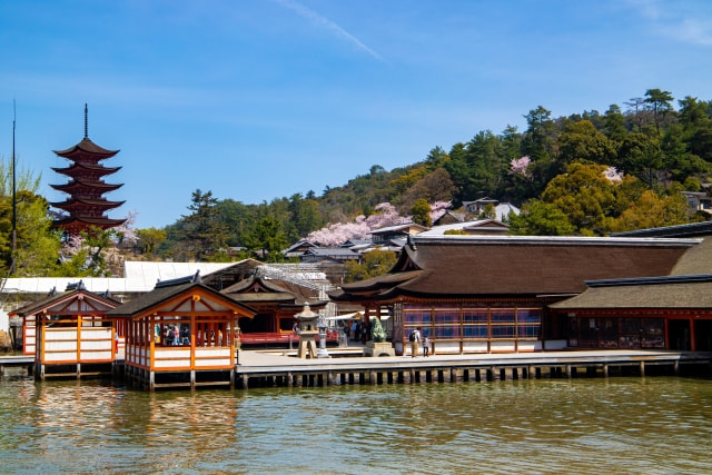 宮島（厳島神社） 写真