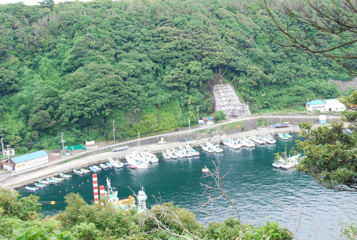 伊豆大島 写真